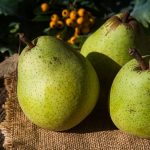 Three ripe green pears on burlap with leafy background, sunlit scene.